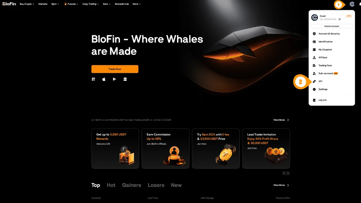 Open API Keys in Blofin